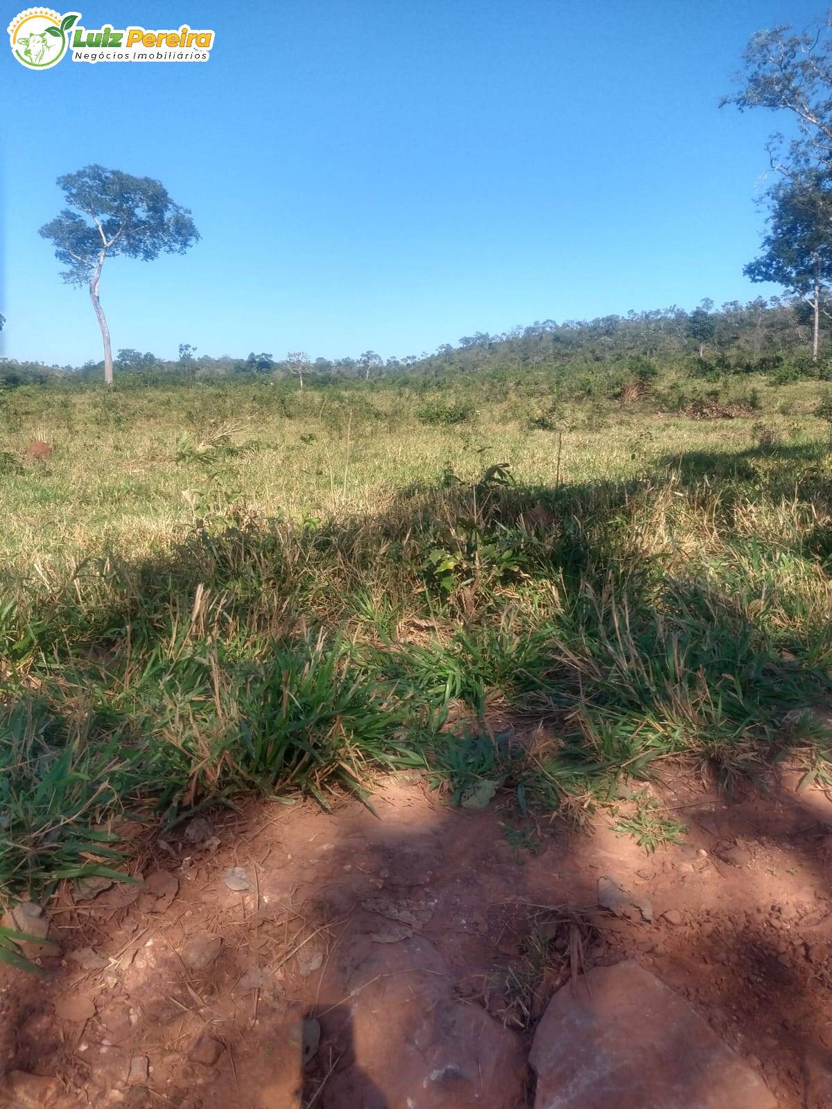 Fazenda à venda, 6080000m² - Foto 11