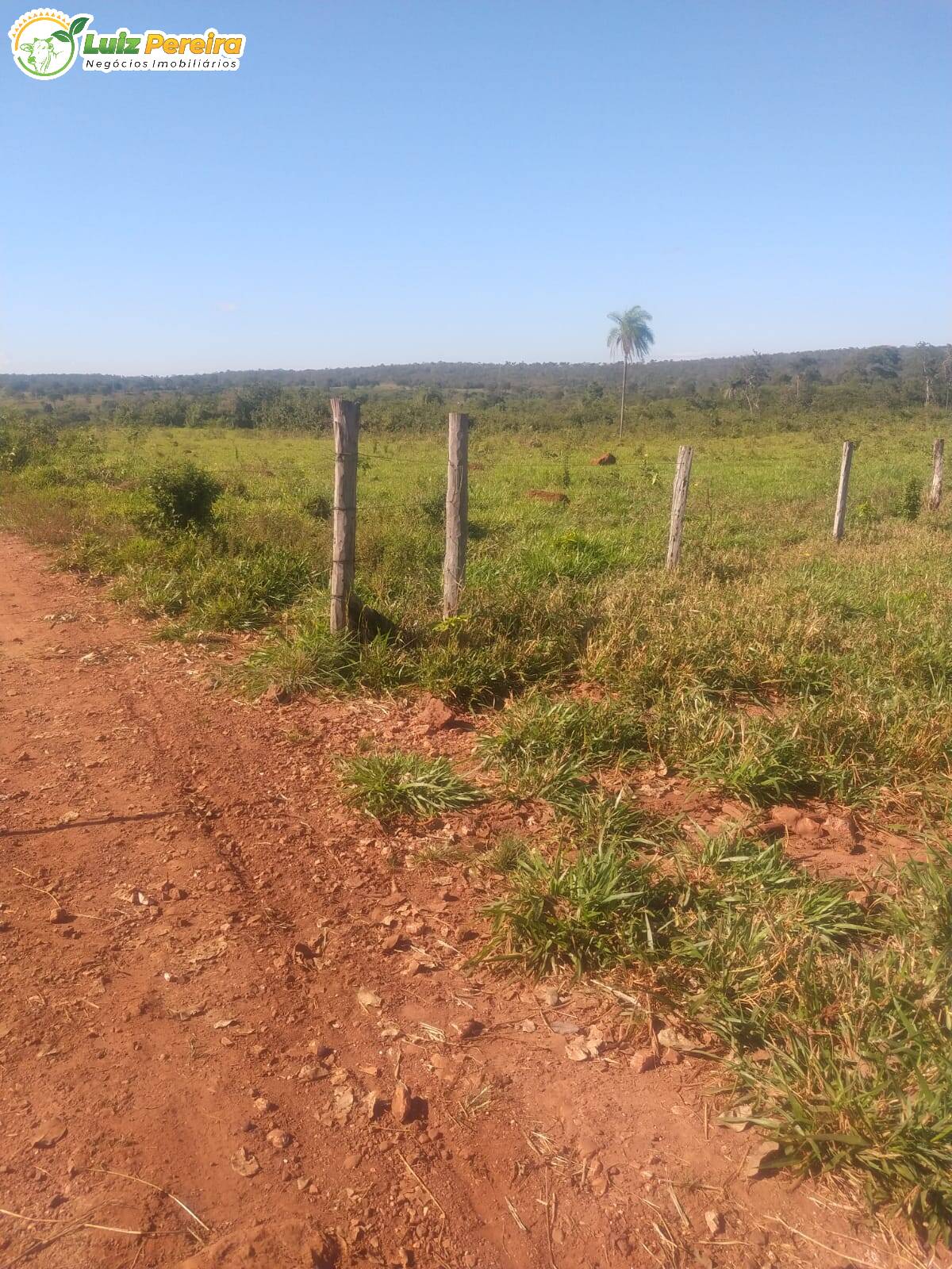 Fazenda à venda, 6080000m² - Foto 14