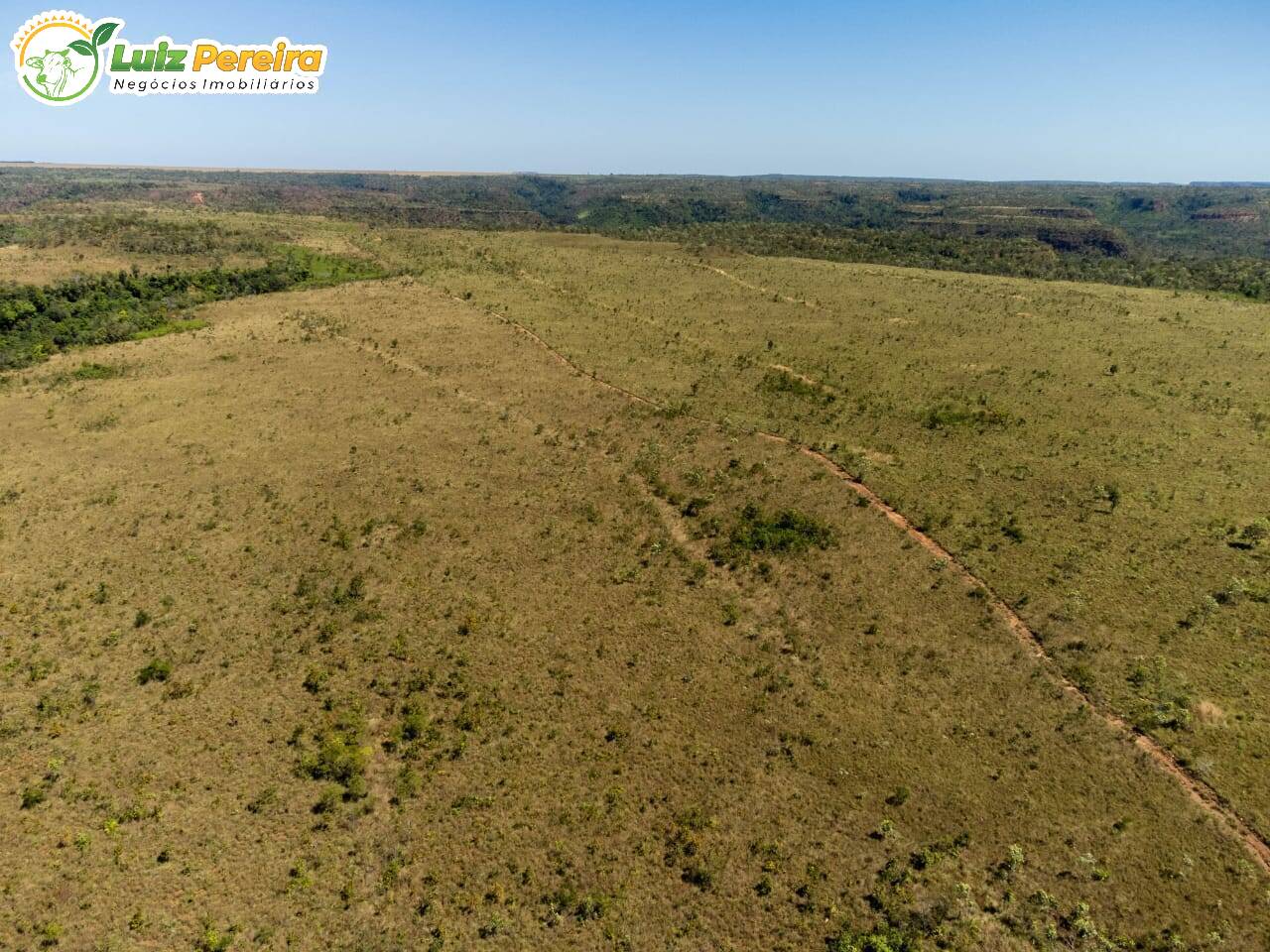 Fazenda à venda, 4600000m² - Foto 5