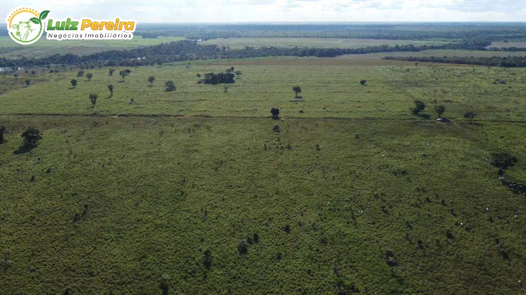 Fazenda à venda, 4600000m² - Foto 7