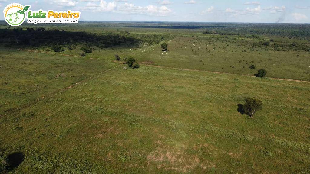 Fazenda à venda, 4600000m² - Foto 8