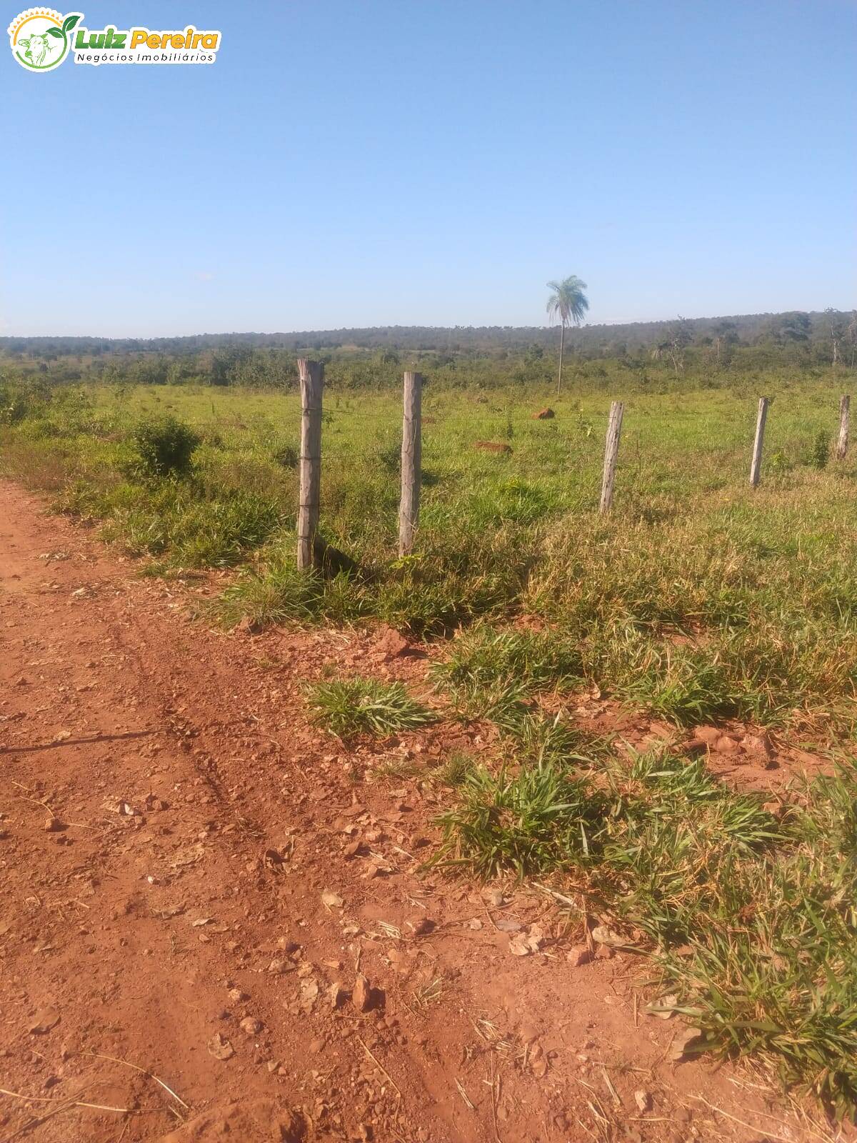 Terreno à venda, 70000000m² - Foto 5