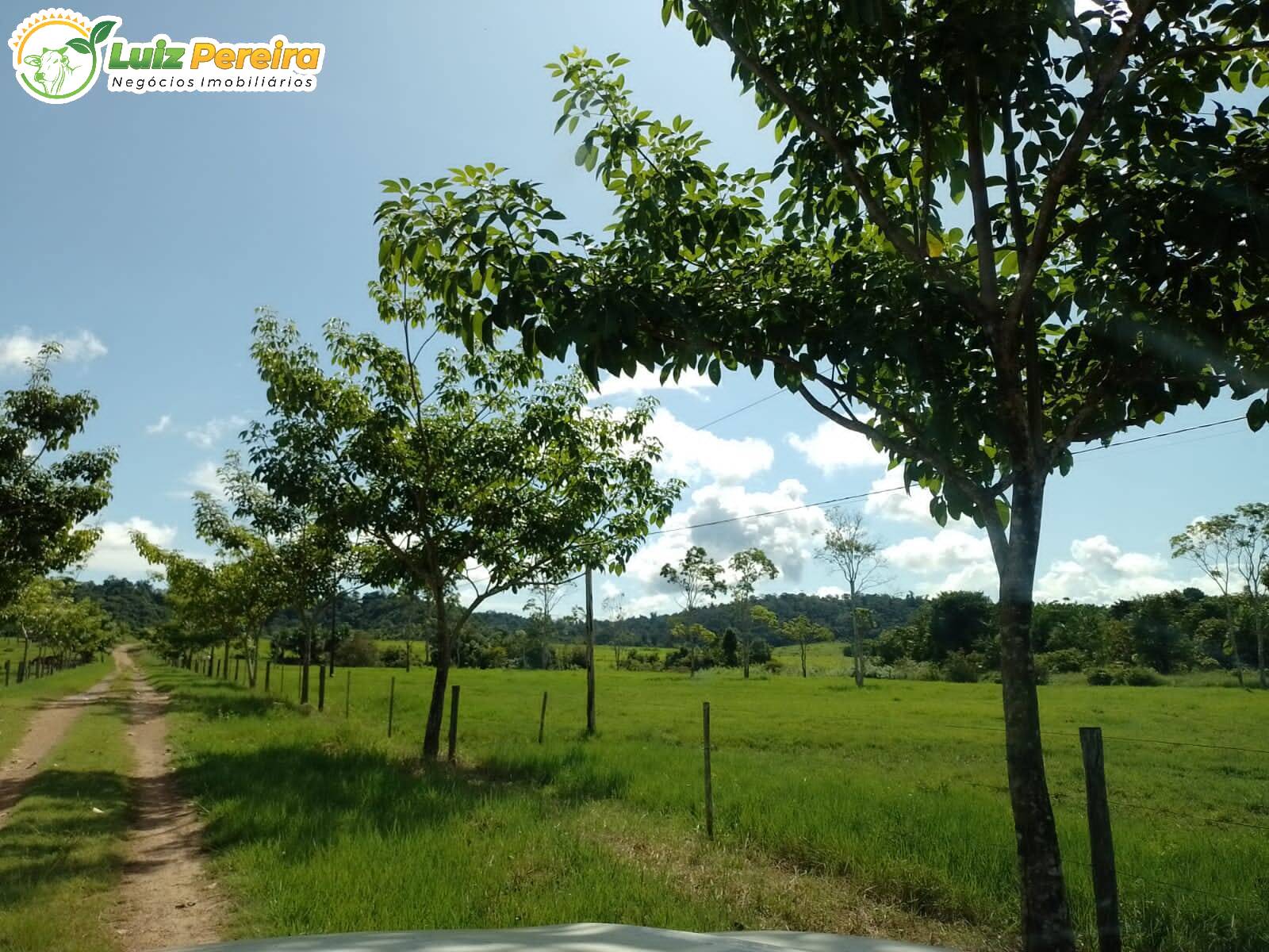 Fazenda-Sítio-Chácara, 7000 hectares - Foto 2