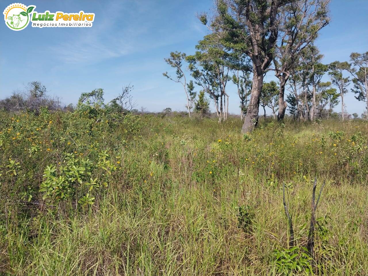 Fazenda à venda, 20000000m² - Foto 6