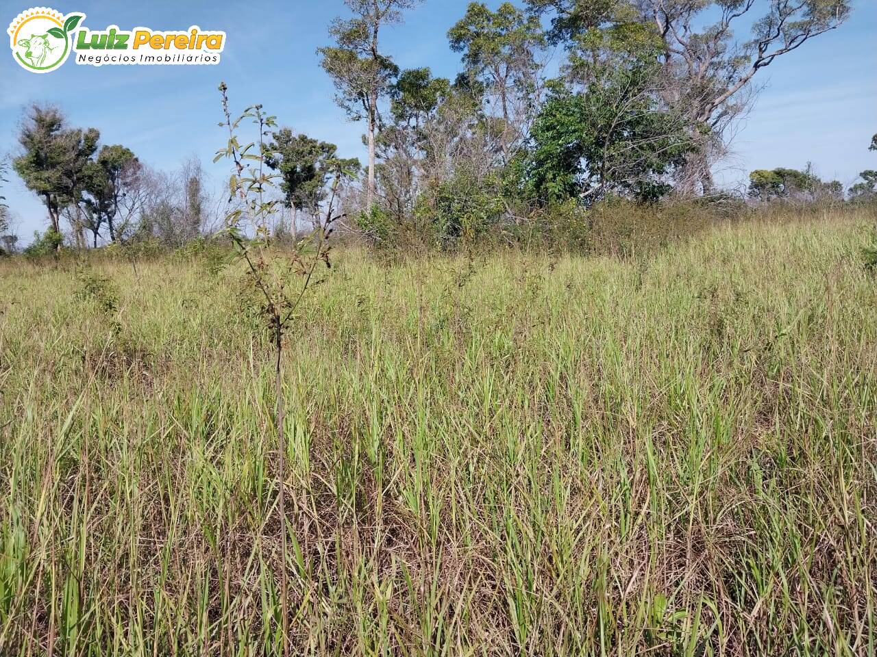 Fazenda à venda, 20000000m² - Foto 2