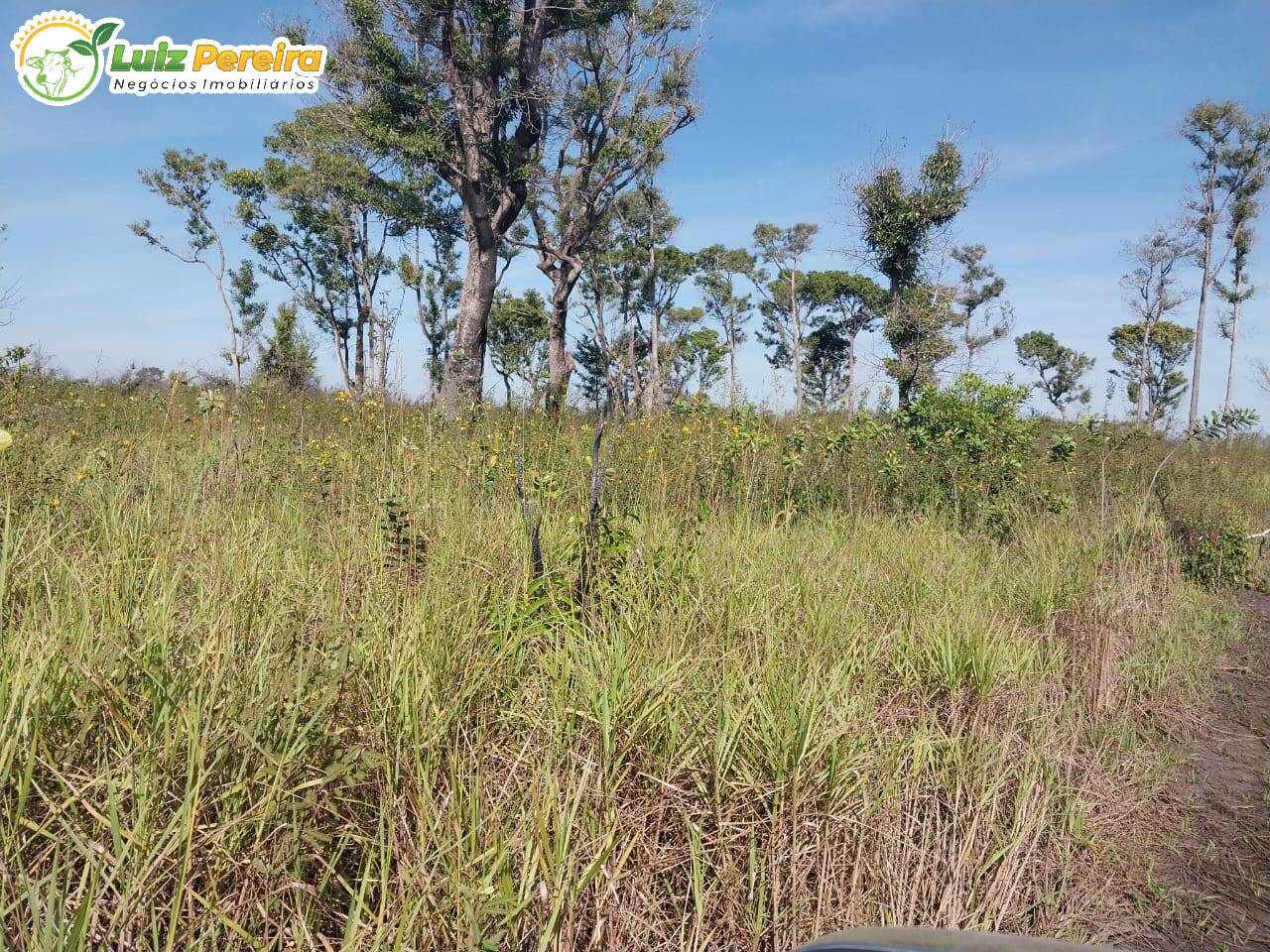 Fazenda à venda, 20000000m² - Foto 3