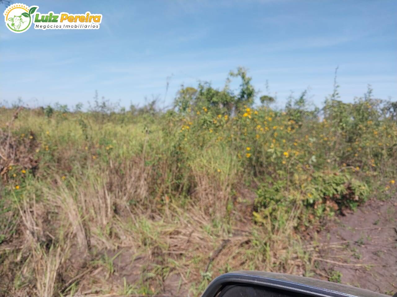 Fazenda à venda, 20000000m² - Foto 4