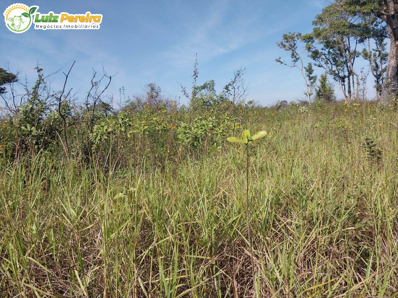 Fazenda à venda, 20000000m² - Foto 5