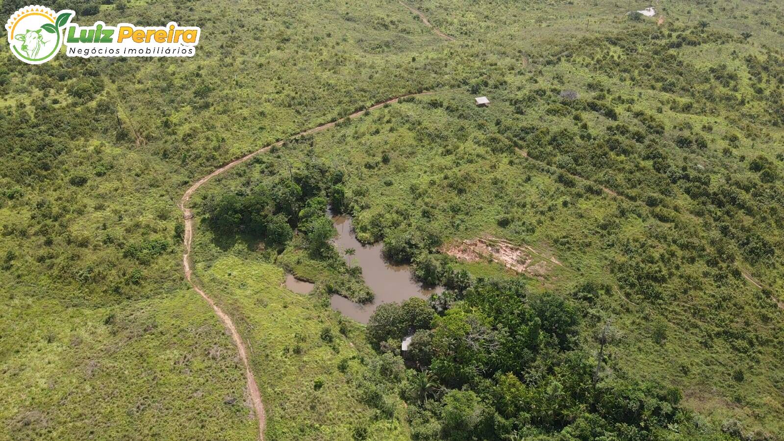 Fazenda à venda, 13850000m² - Foto 7