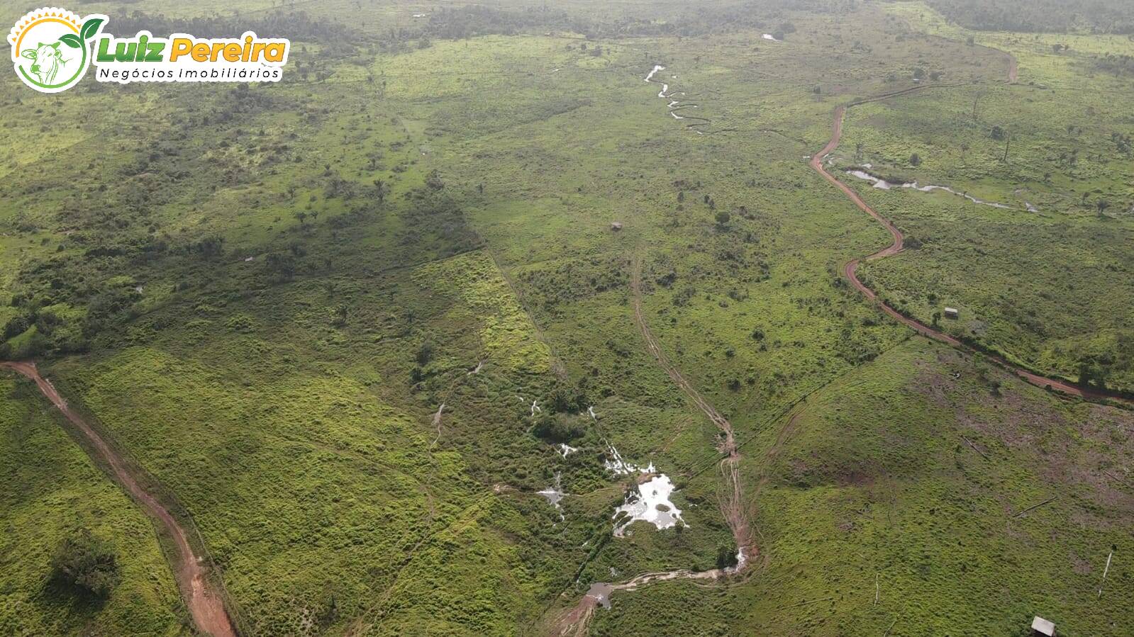 Fazenda à venda, 13850000m² - Foto 11