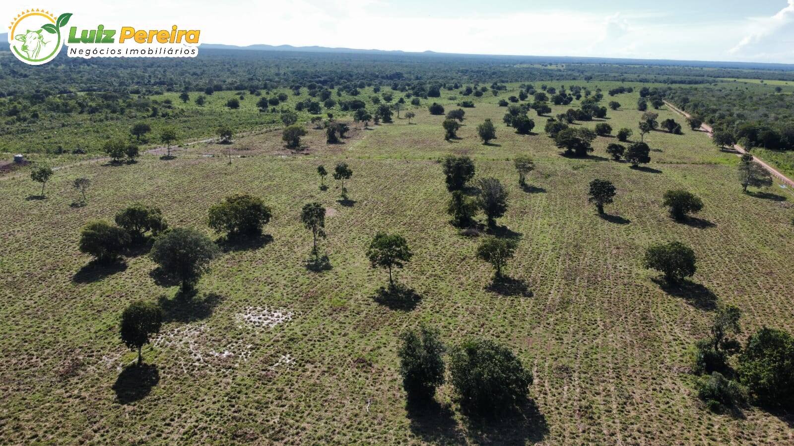 Fazenda-Sítio-Chácara, 1385 hectares - Foto 4