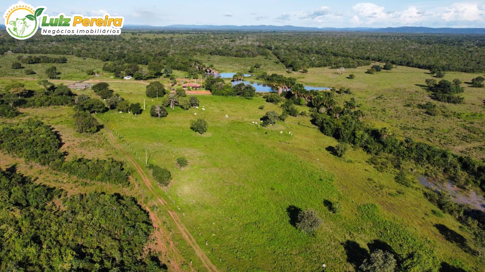 Fazenda à venda, 13850000m² - Foto 12