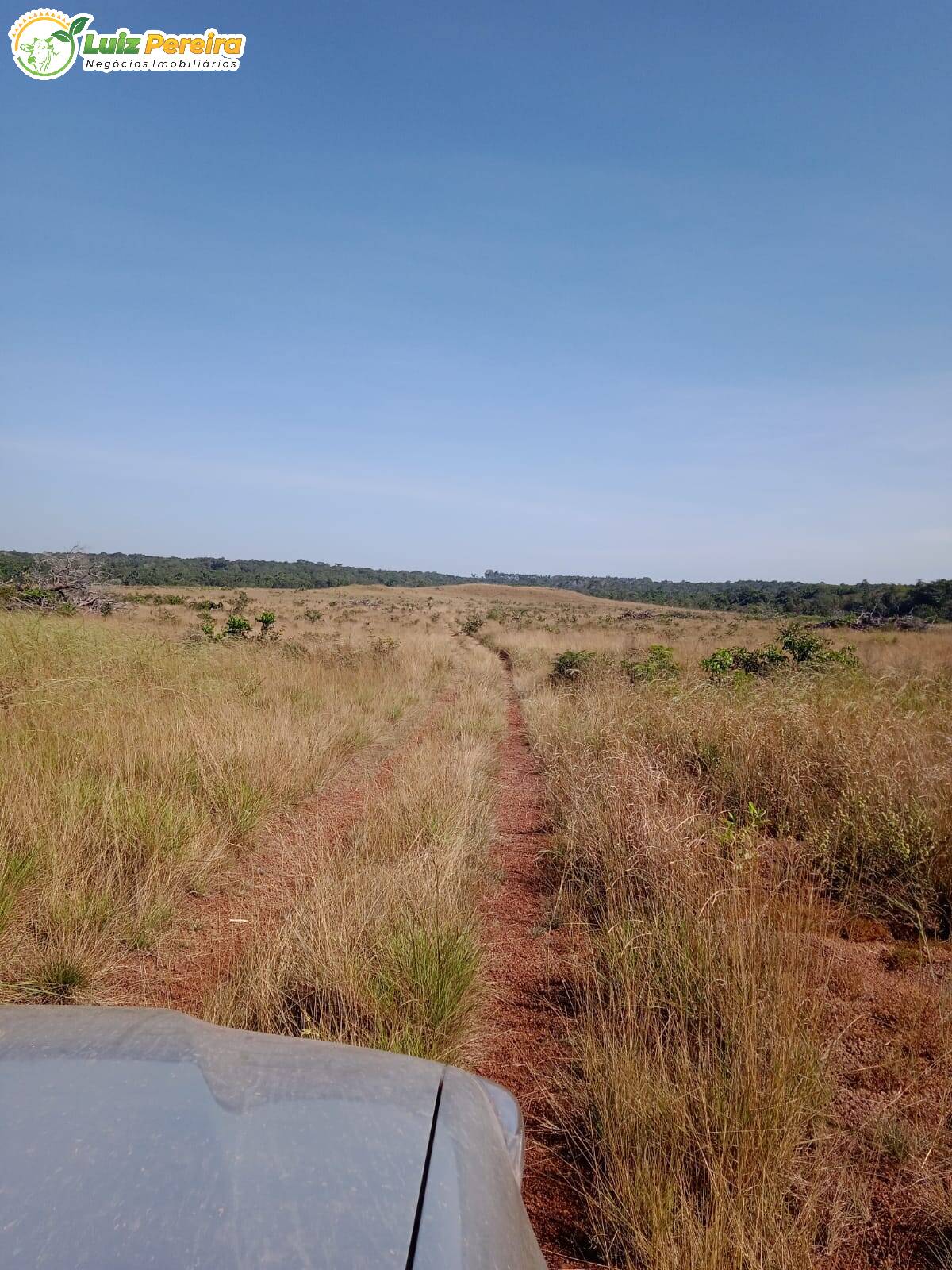 Fazenda à venda, 38720000m² - Foto 9