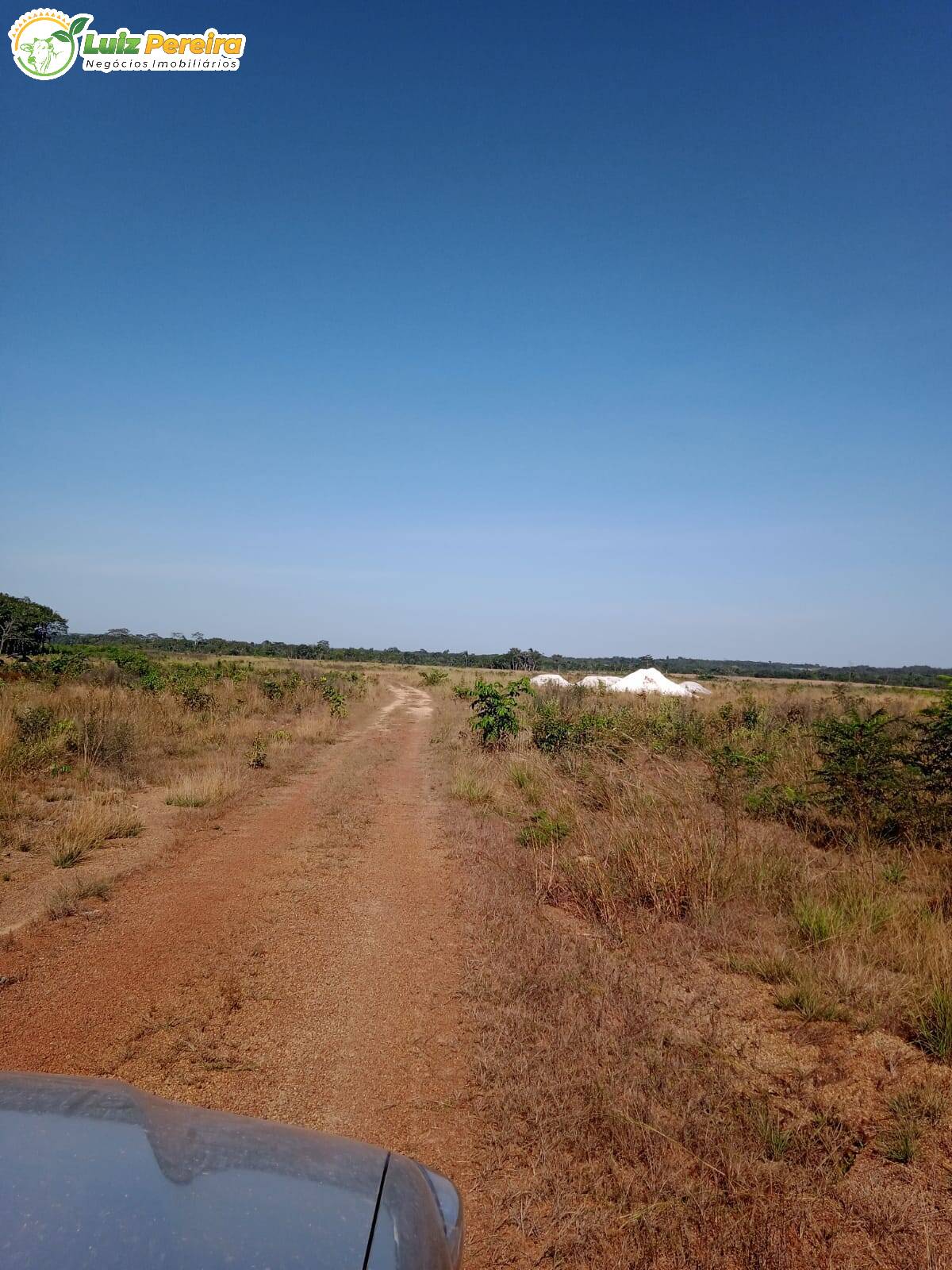 Fazenda-Sítio-Chácara, 3872 hectares - Foto 3