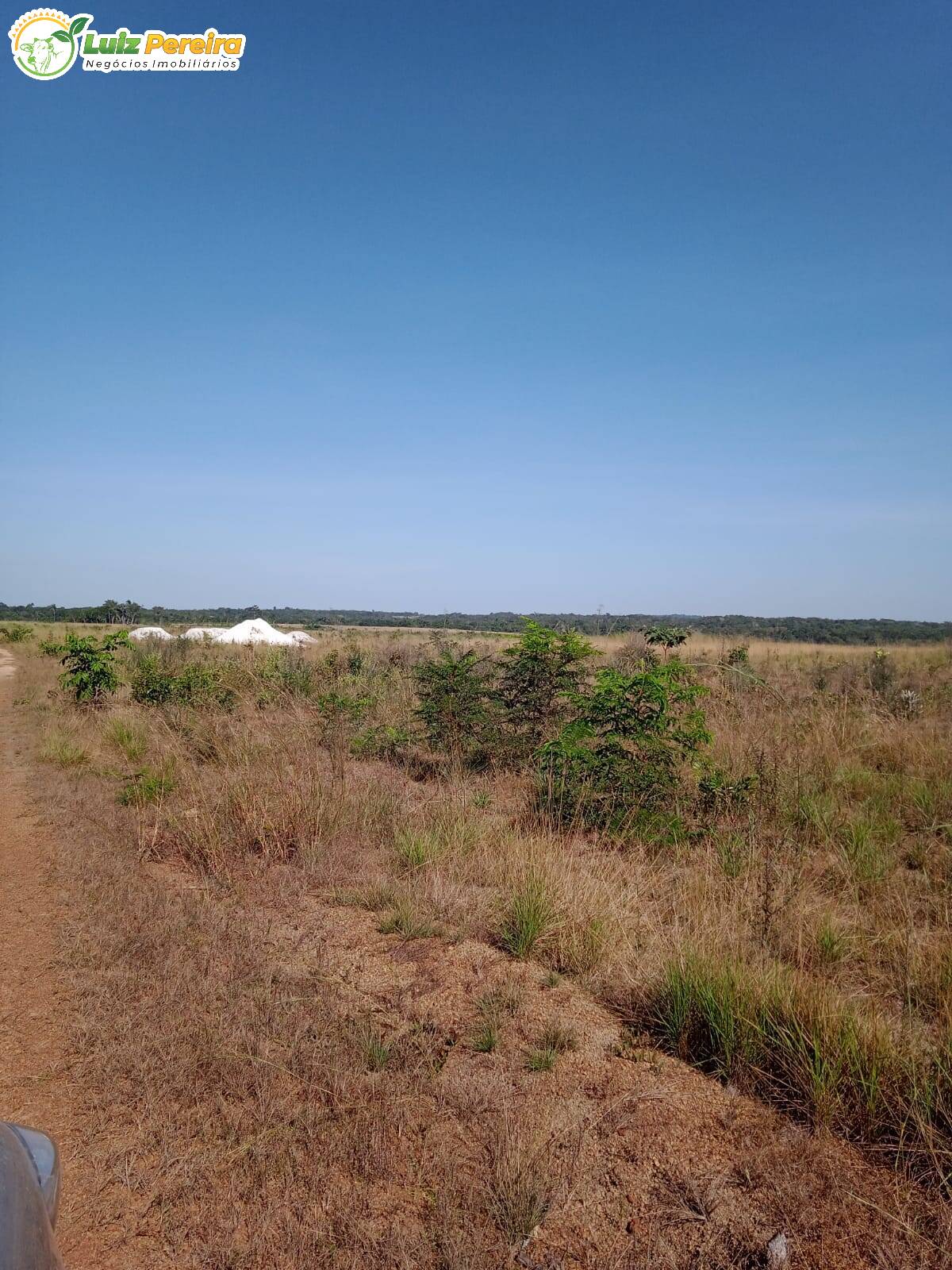 Fazenda-Sítio-Chácara, 3872 hectares - Foto 4