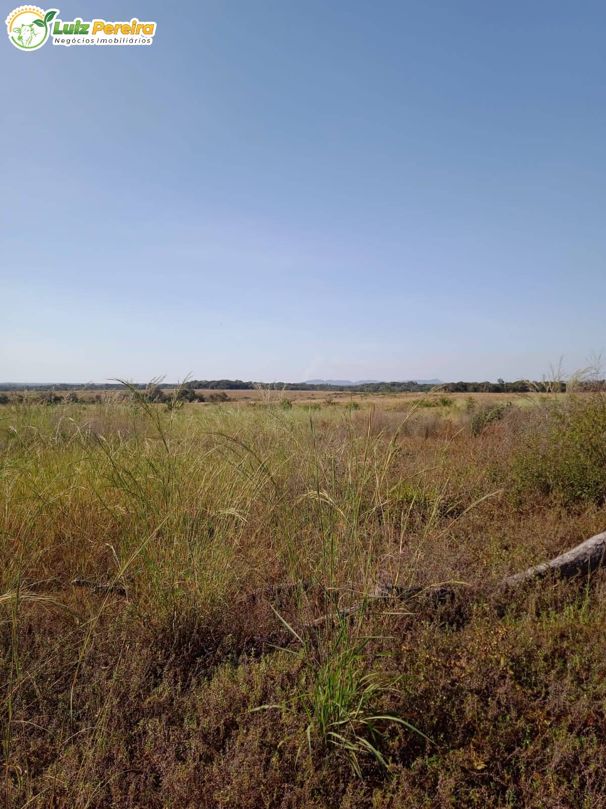 Fazenda-Sítio-Chácara, 3872 hectares - Foto 1