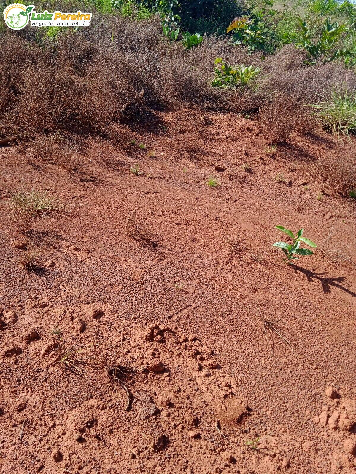 Fazenda à venda, 38720000m² - Foto 13