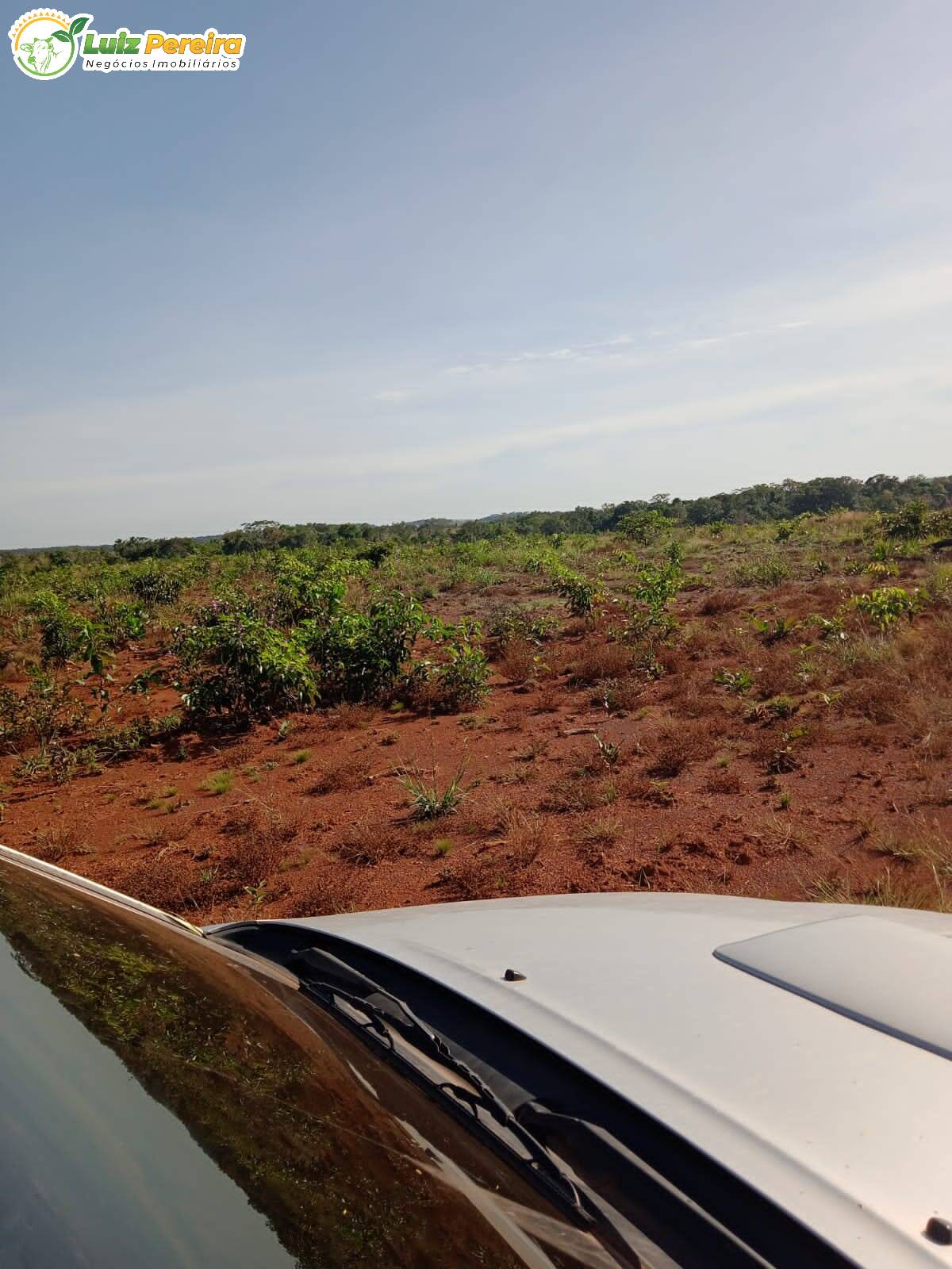 Fazenda à venda, 38720000m² - Foto 12