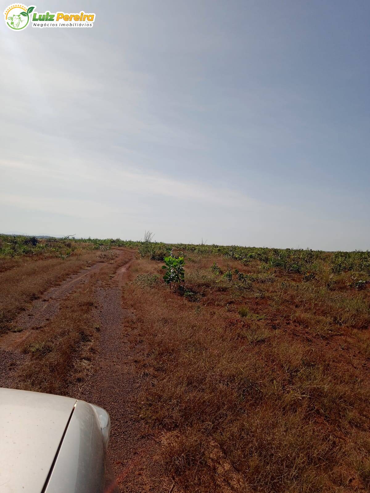 Fazenda à venda, 38720000m² - Foto 8