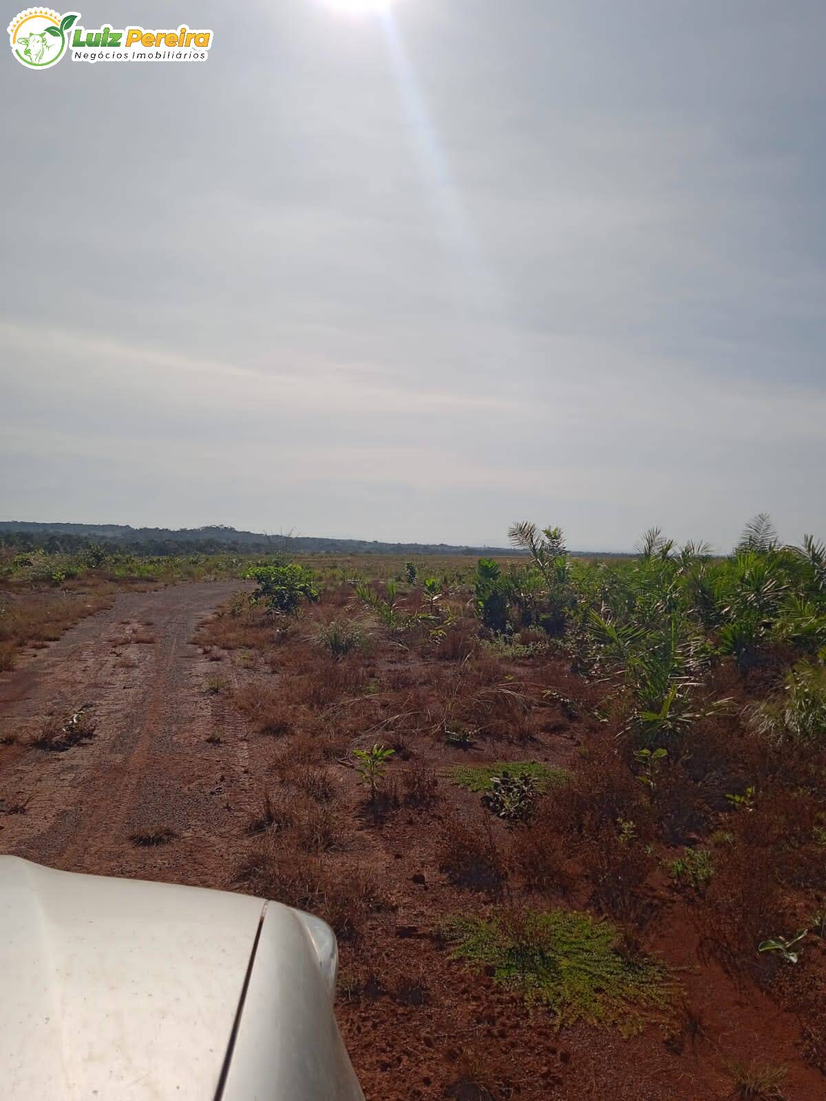 Fazenda à venda, 38720000m² - Foto 7