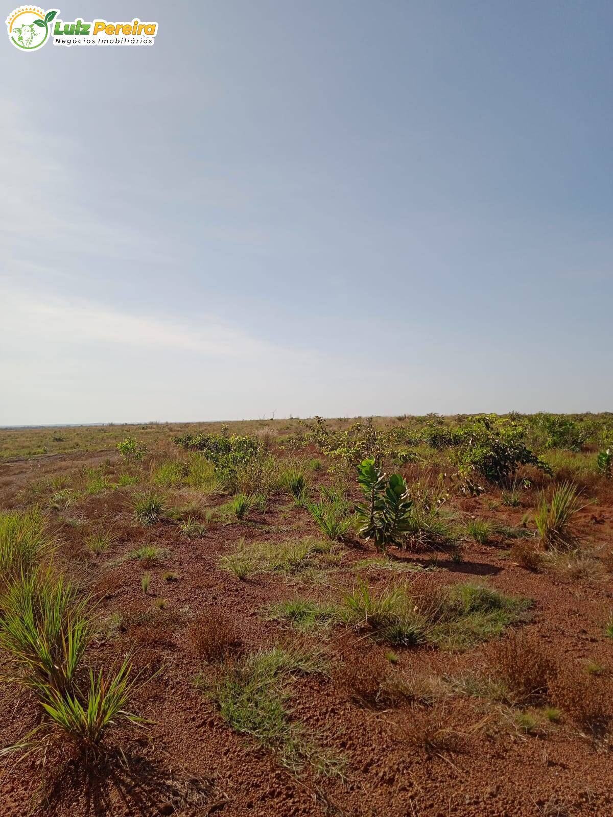 Fazenda-Sítio-Chácara, 3872 hectares - Foto 2