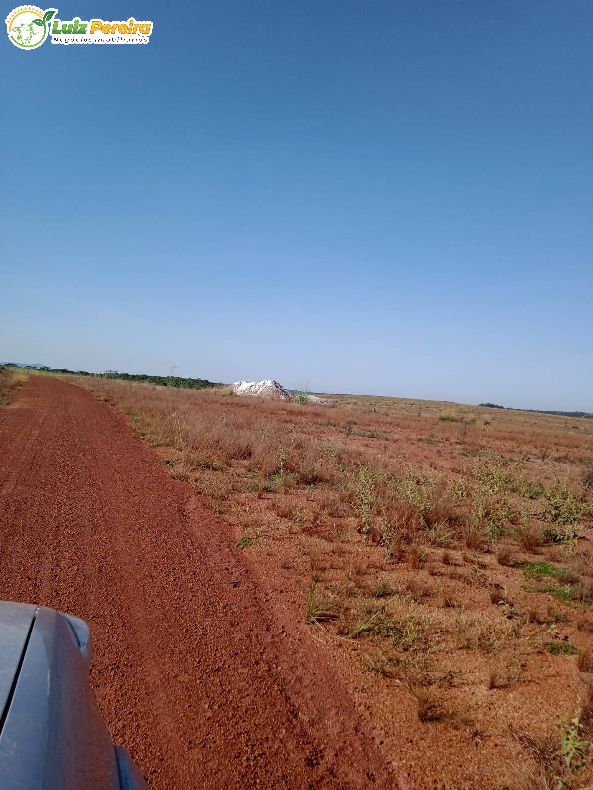 Fazenda à venda, 38720000m² - Foto 16