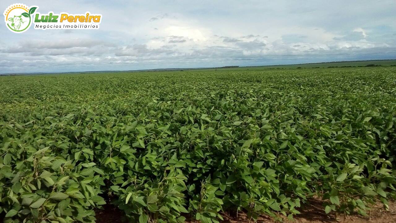 Fazenda-Sítio-Chácara, 4402 hectares - Foto 2