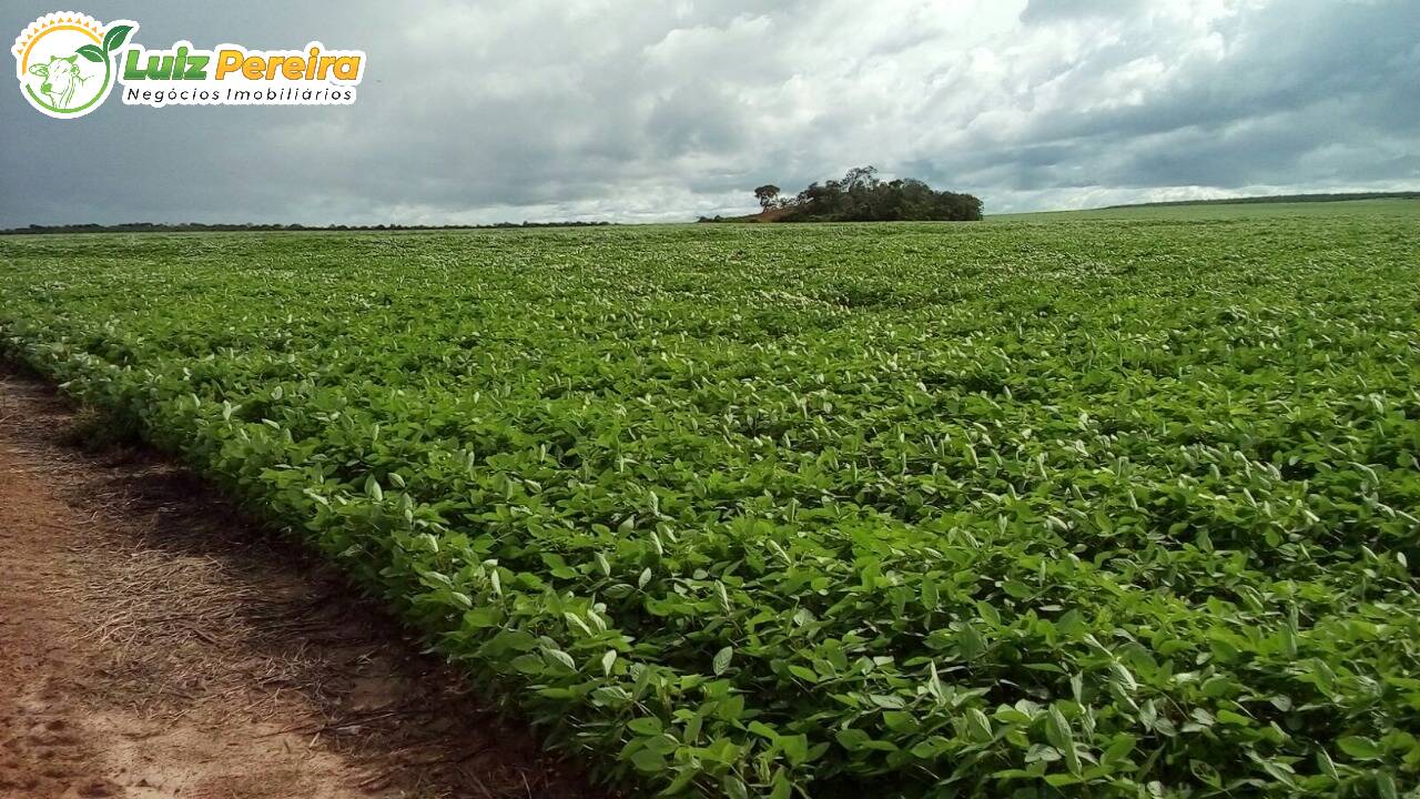 Fazenda-Sítio-Chácara, 4402 hectares - Foto 1