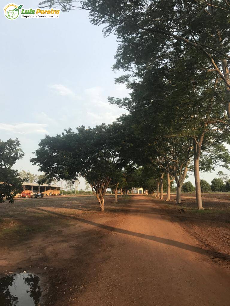 Fazenda à venda, 44020000m² - Foto 12