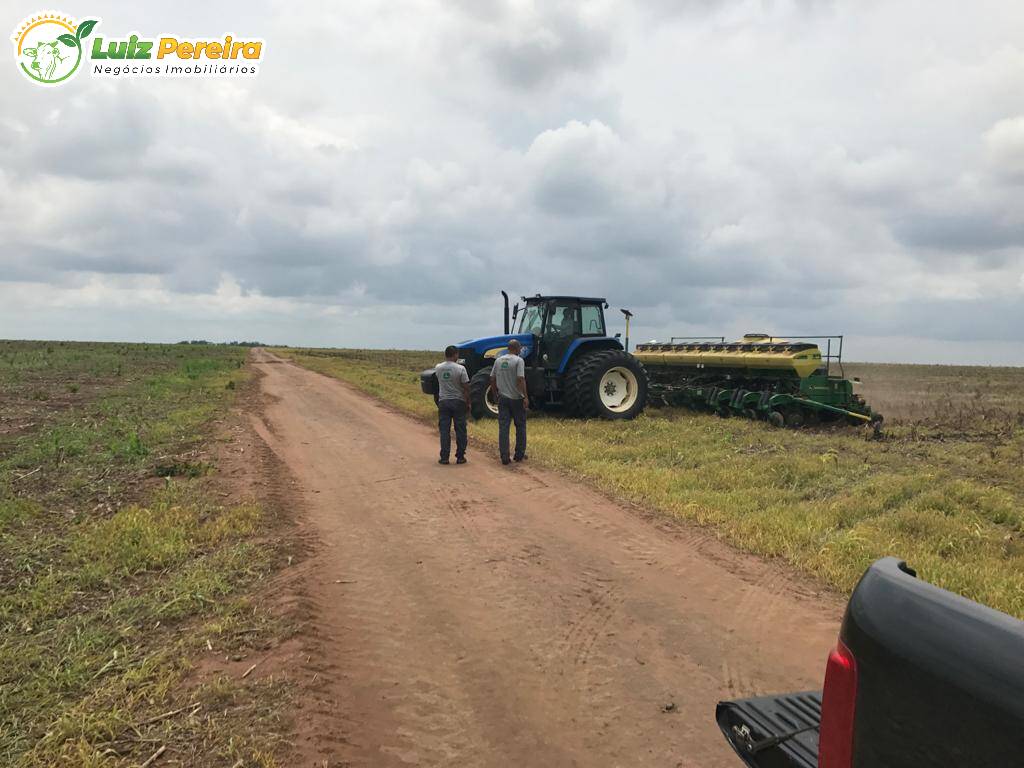 Fazenda à venda, 44020000m² - Foto 14