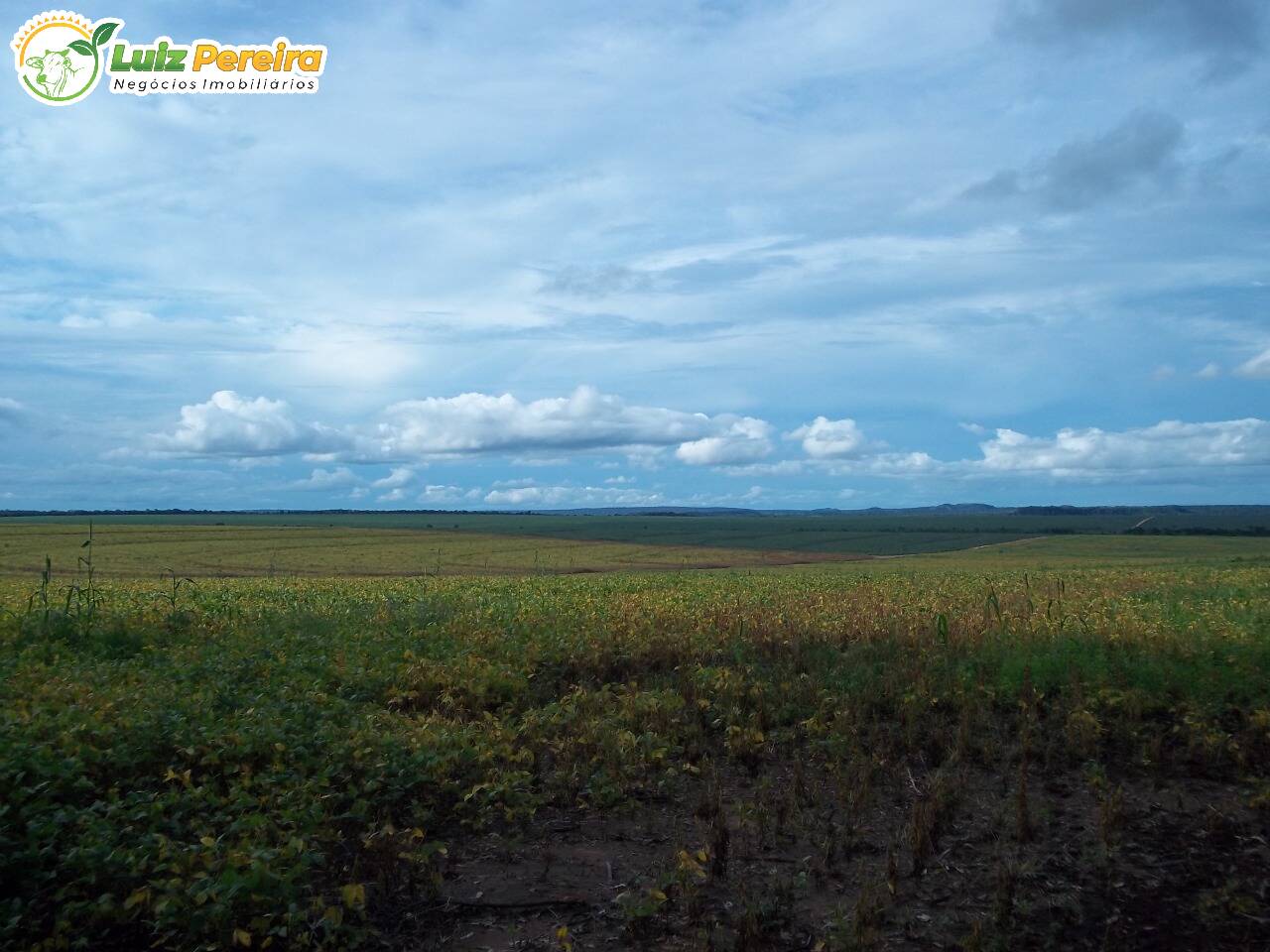 Fazenda à venda, 44020000m² - Foto 5