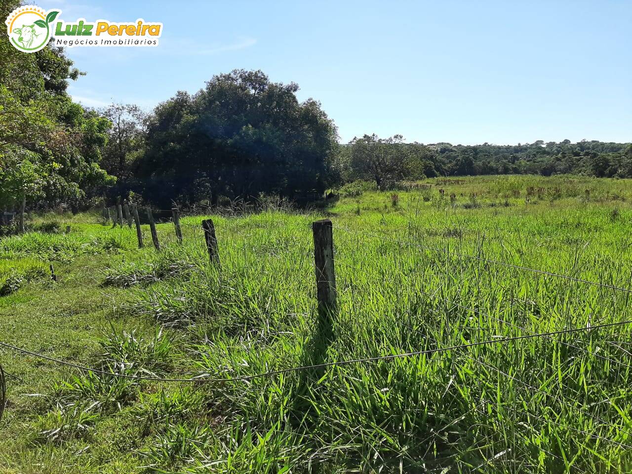 Fazenda à venda, 9460000m² - Foto 6