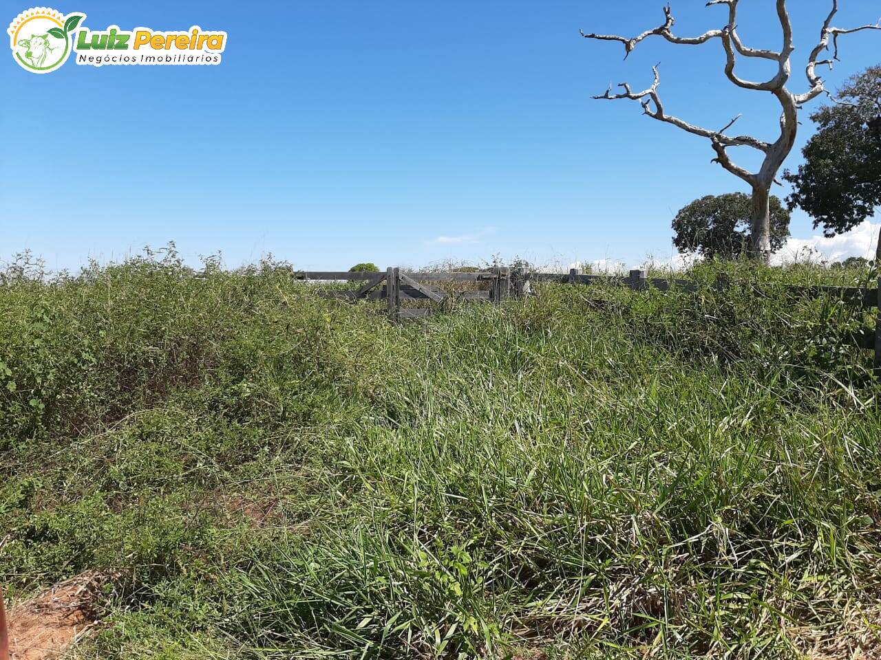 Fazenda à venda, 9460000m² - Foto 8