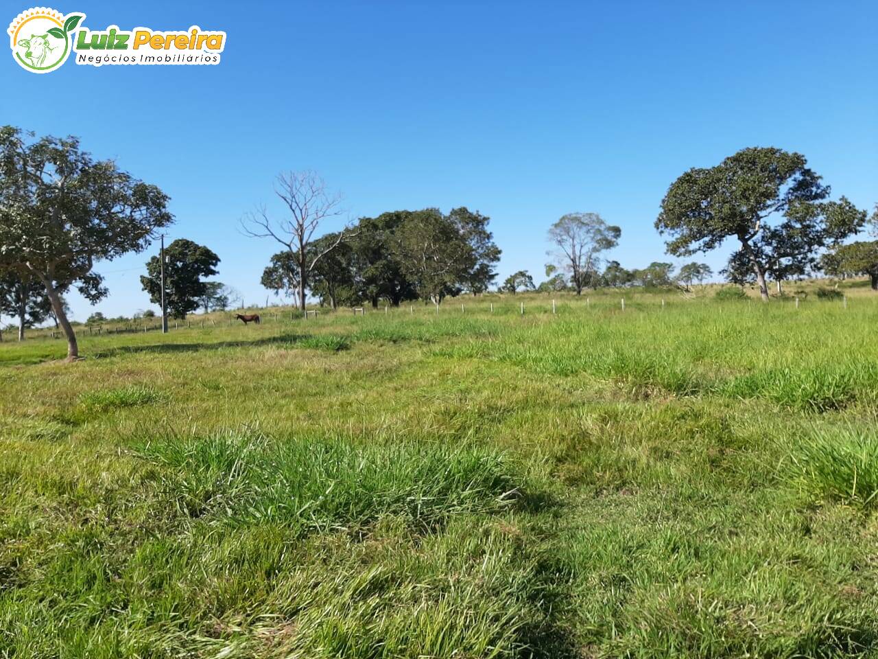 Fazenda à venda, 9460000m² - Foto 7