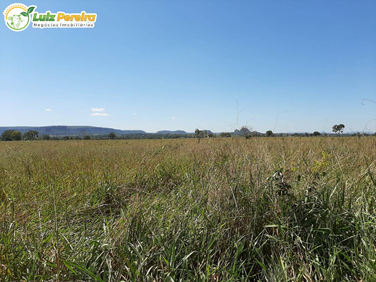 Fazenda à venda, 9460000m² - Foto 9