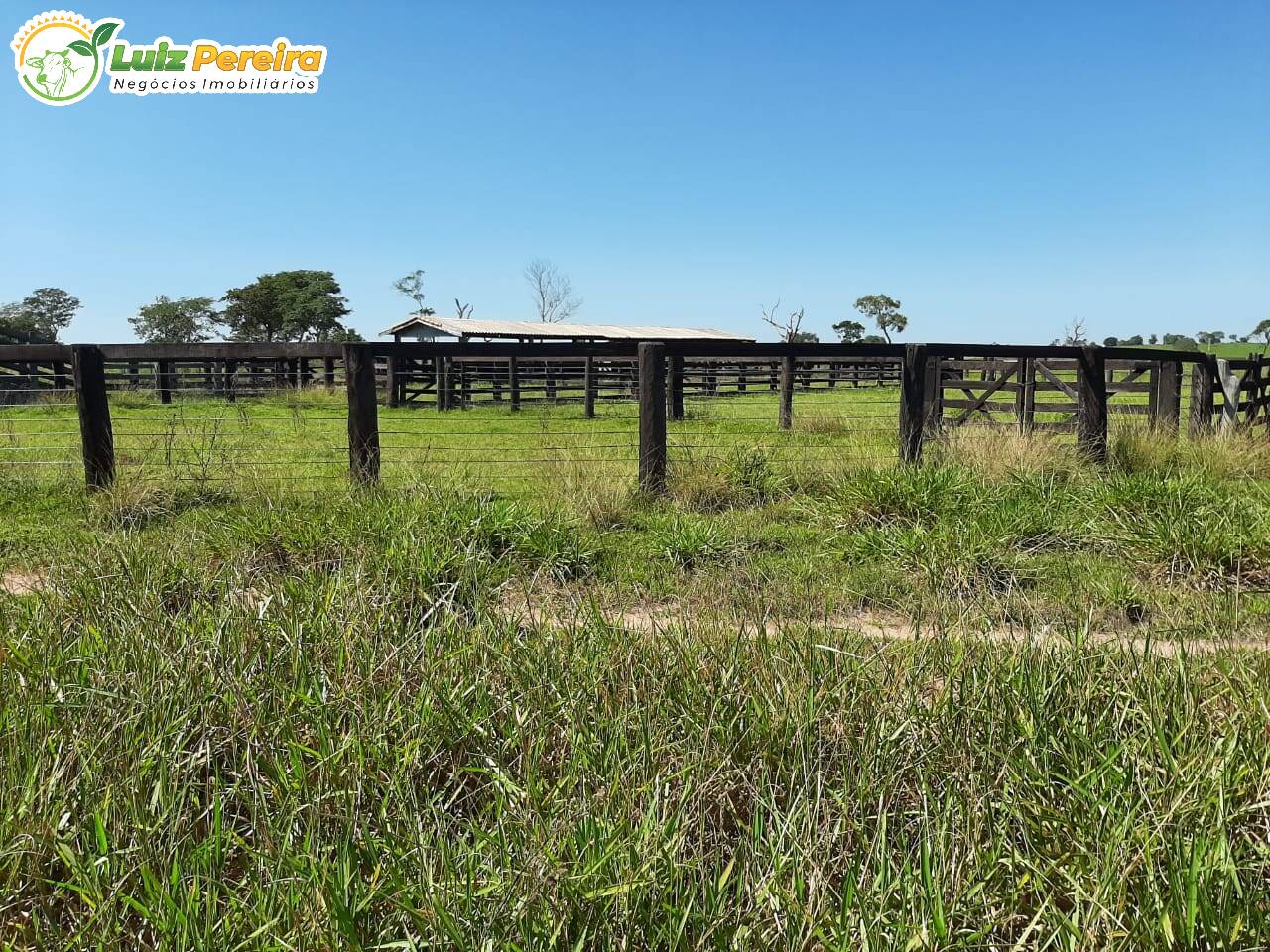 Fazenda à venda, 9460000m² - Foto 14