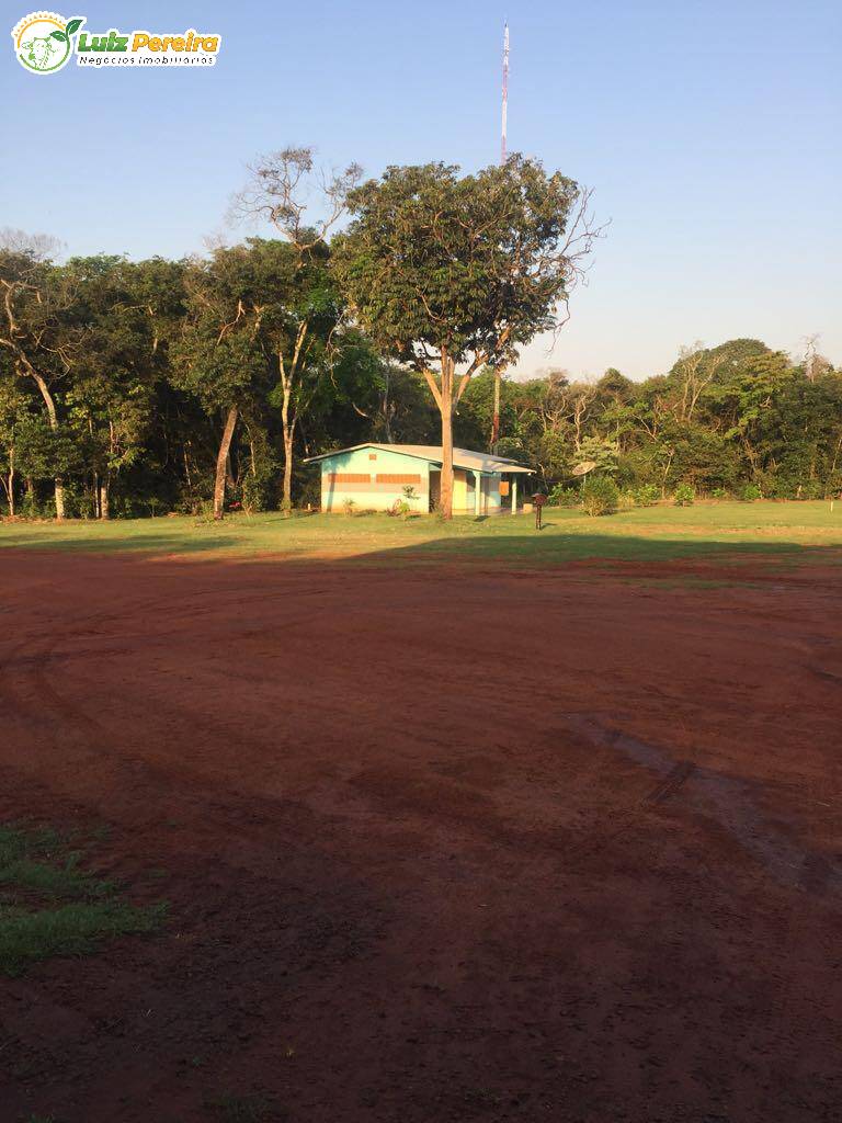 Fazenda à venda, 12700000m² - Foto 3