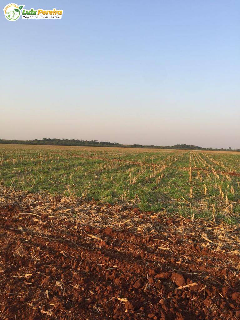 Fazenda à venda, 12700000m² - Foto 1