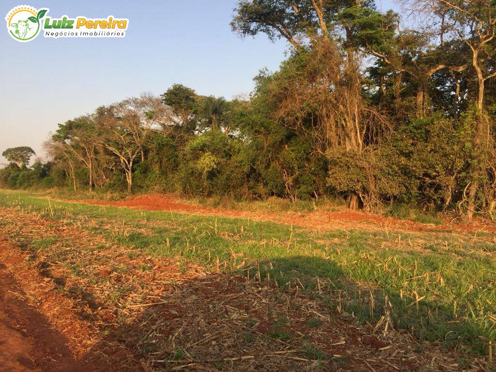 Fazenda à venda, 12700000m² - Foto 2