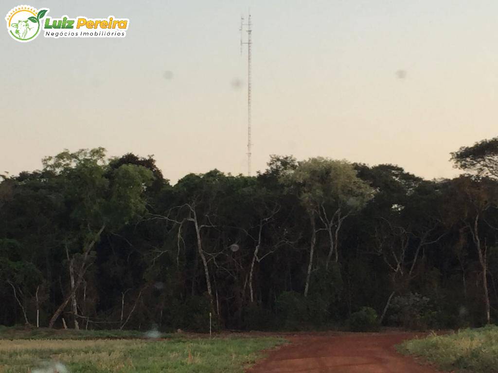 Fazenda à venda, 12700000m² - Foto 4