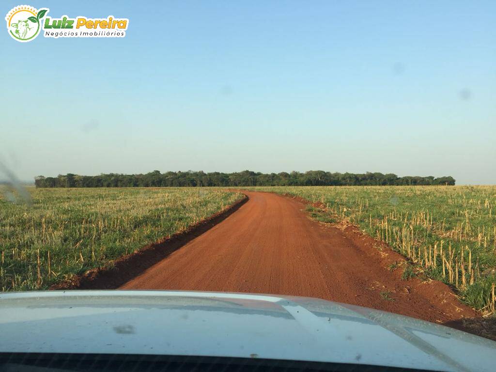 Fazenda à venda, 12700000m² - Foto 5