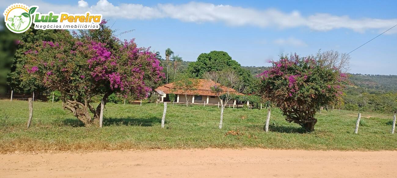 Fazenda à venda, 2490000m² - Foto 3