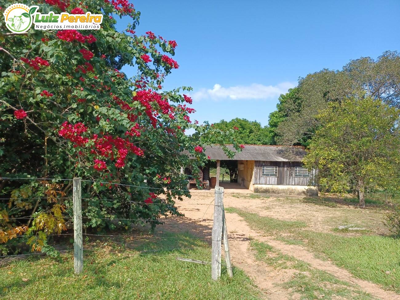 Fazenda à venda, 2490000m² - Foto 4