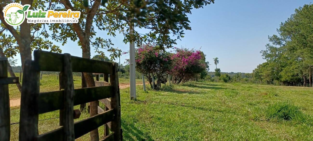 Fazenda à venda, 2490000m² - Foto 11