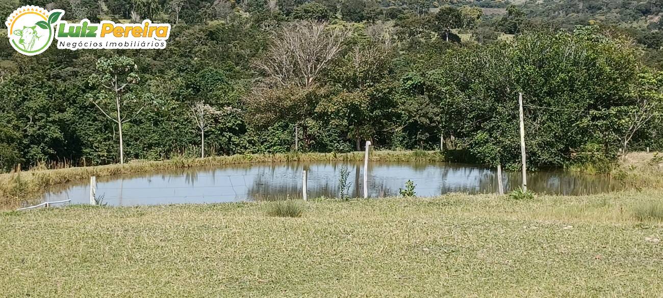 Fazenda à venda, 2490000m² - Foto 5