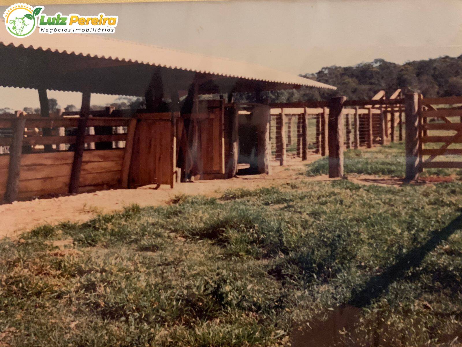 Fazenda à venda, 2490000m² - Foto 15