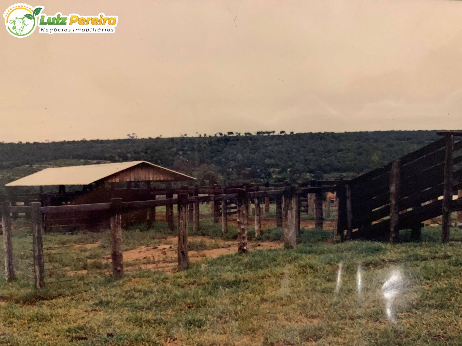 Fazenda à venda, 2490000m² - Foto 14