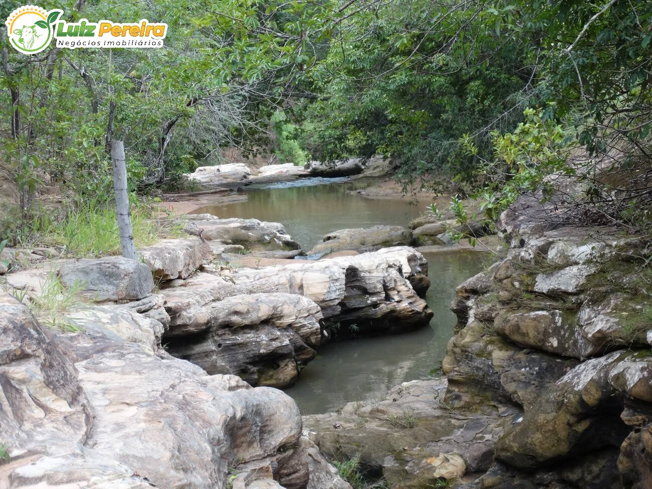 Fazenda à venda, 2490000m² - Foto 6