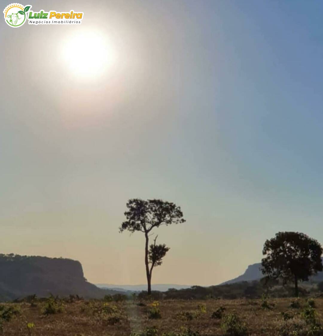 Fazenda à venda, 2490000m² - Foto 16