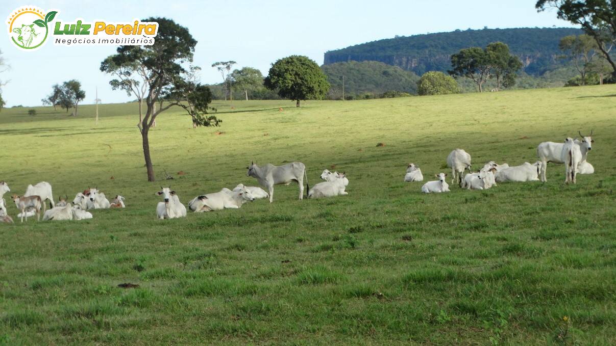 Fazenda à venda, 2490000m² - Foto 1